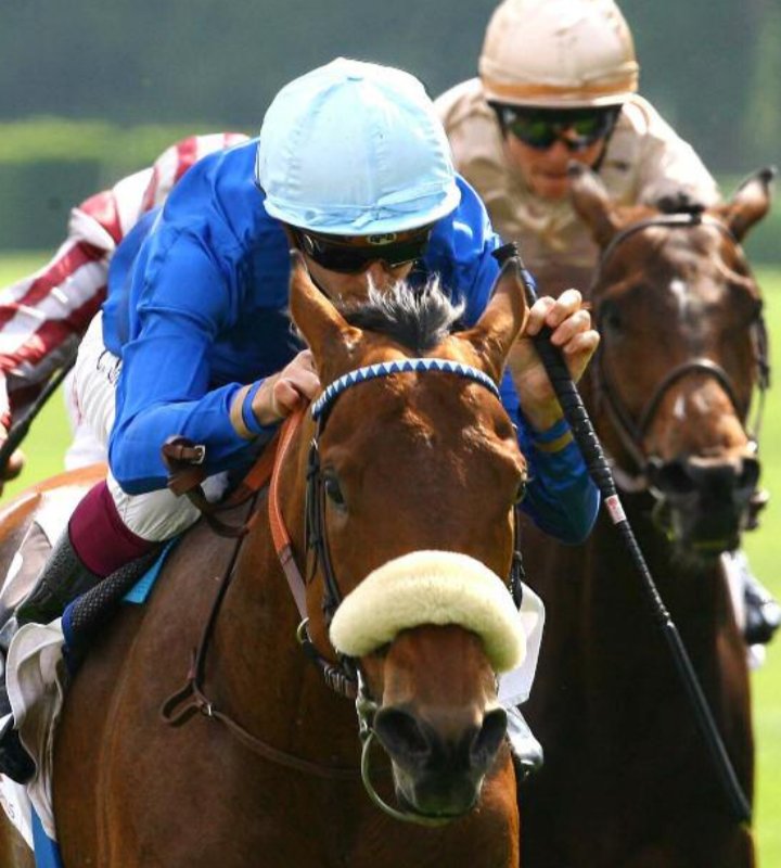 PLANTEUR ÉTALON 🐎
<a href="/fgdeauville/">FGdeauville</a> PLUME DU HOULEY (2015 - PLANTEUR &amp; Polyegos) @Yannbarberot remporte le Prix de Marly-le-Roi (1.900m Psf) avec <a href="/CabreJerome/">cabre jerome</a>🏆
PLANTEUR (Danehill Dancer &amp; PLANTE RARE) étalon <a href="/AlShaqabRacing/">Al Shaqab Racing</a> obtient son 20ÈME VAINQUEUR pour sa 1ÈRE génération 🎩🎩🎩
