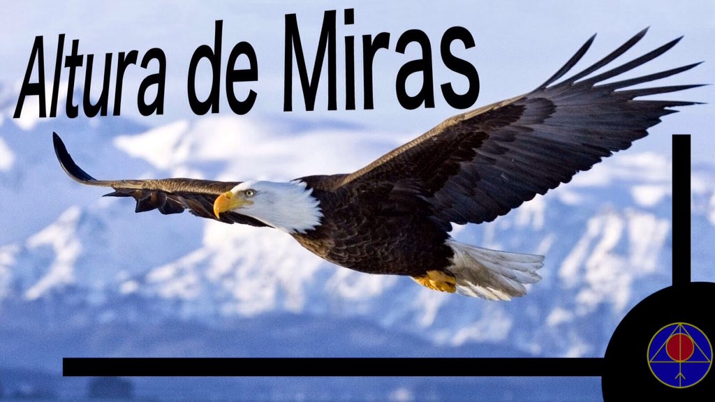 ifhvenezuela's tweet photo. La "altura de miras" es una #facultad de #elevarse por sobre la #realidad temporal para #discriminar niveles de #importancia y urgencia, con el objeto de establecer prioridades de #acción.
#DaríoSalasSommer
#JohnBaines https://t.co/0egnAanxGw