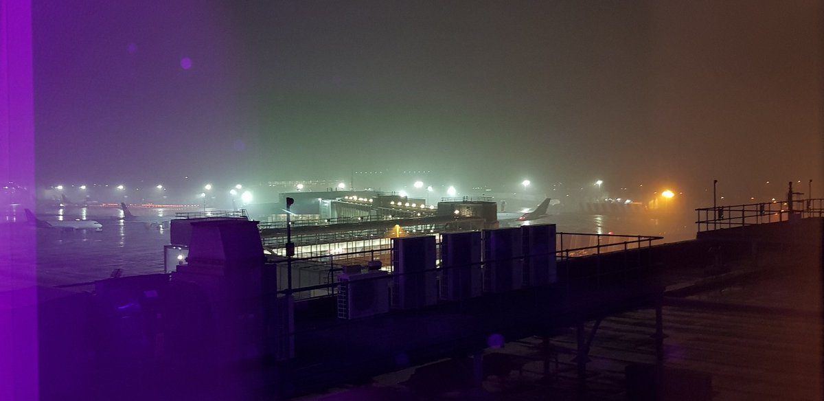 Josh Ahmed tweet media