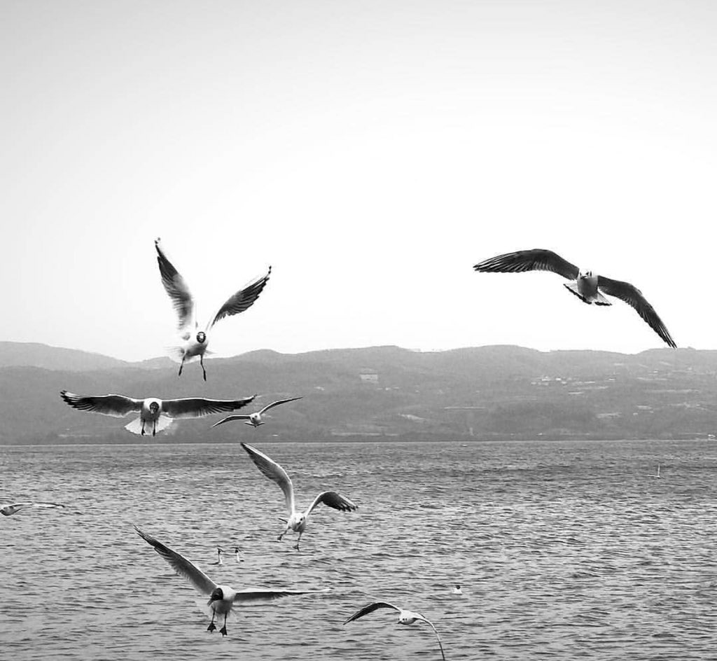 لا تقلق ! الله دبّر كل شيء ..
حتى وإن ضاق اتساع الدّنيا فيك لا تظن بأن الله ناسيك !

- حاشاه -
يعلمُ ما في قلبك من وجعٍ ، وهمٍّ ، وغمّ ..
ويعلمُ أدنى خواطرك ... وأبلغ أمانيك !!

هوّن ، ترفّق ، وتصبّر ..
يُجبر الله كسرك ، ويسدد مساعيك .