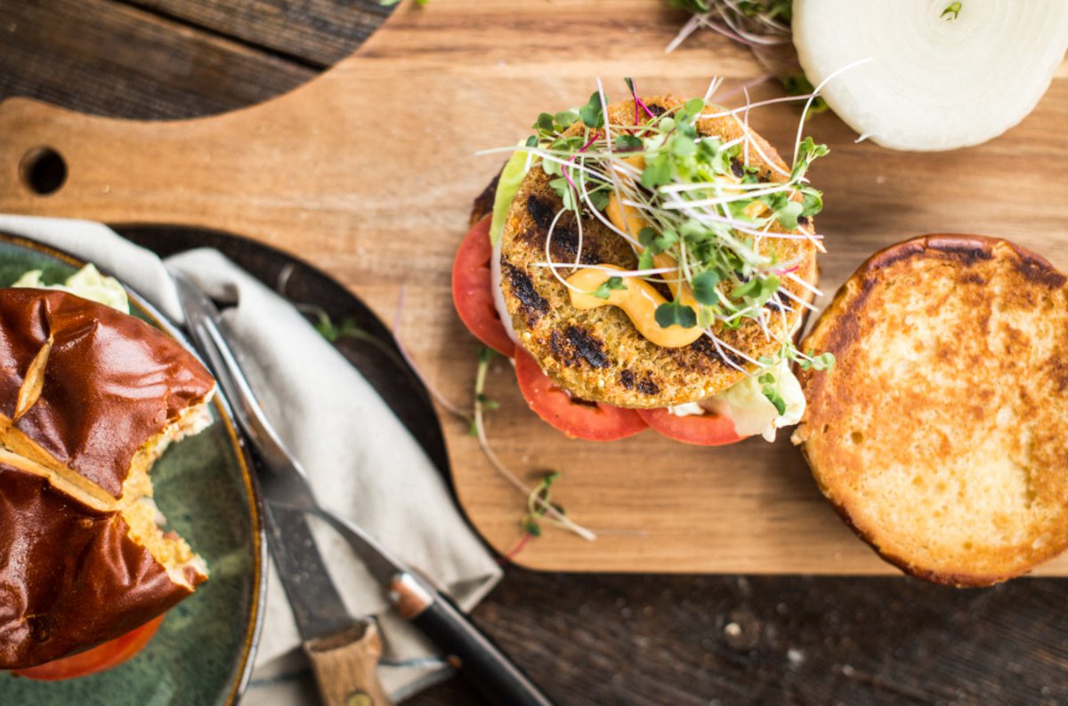 Foreman Grill Recipes Salmon Patties Dandk Organizer