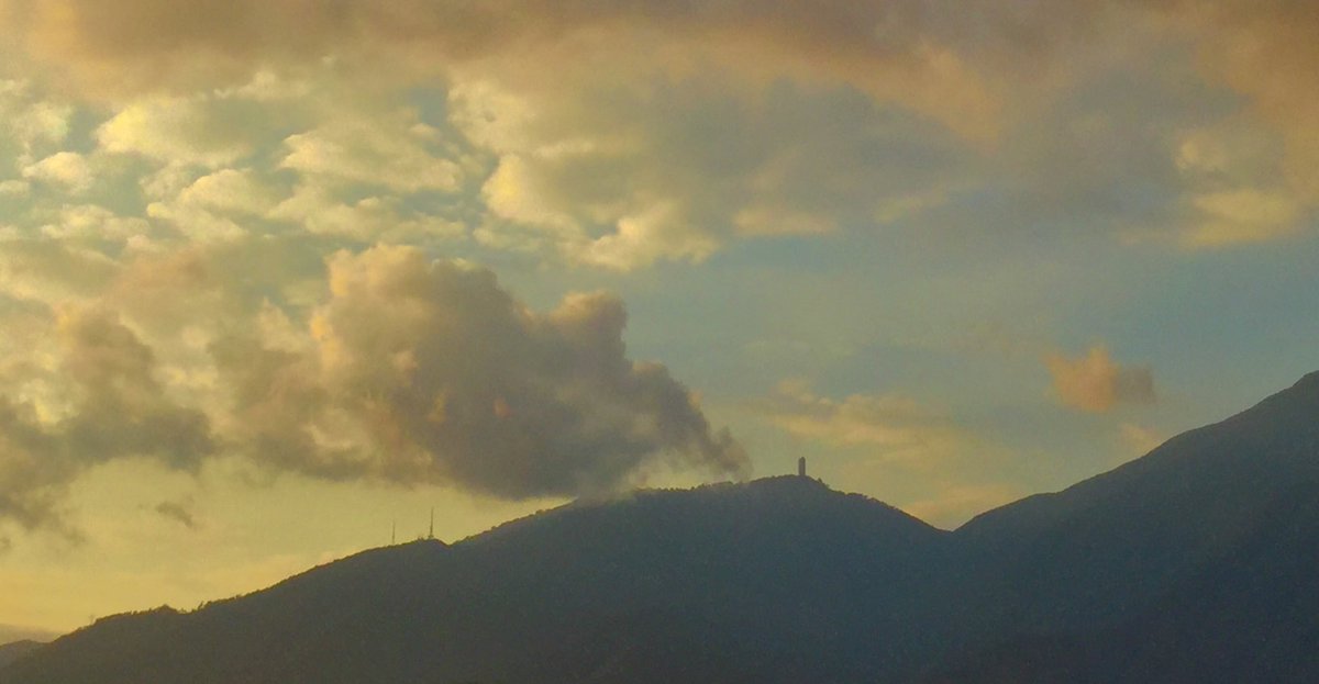 Alejandro “Alex” Sanabria tweet media