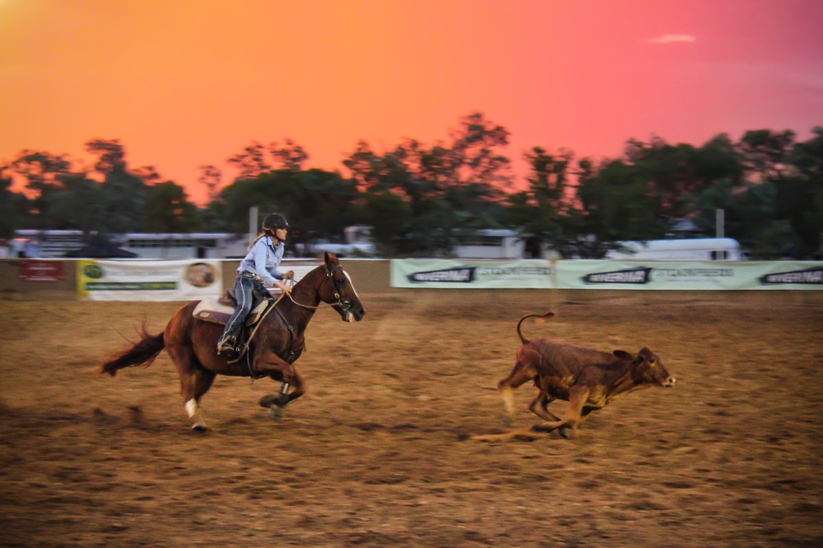HarrietTatham's tweet photo. While most sporting codes hold grand finals in locations convenient enough to draw large crowds, #campdrafting chose to hold its national titles in one of the most remote parts of Australia: https://t.co/B7XTl1uQjB. 🐎 https://t.co/Z02lNChVfJ