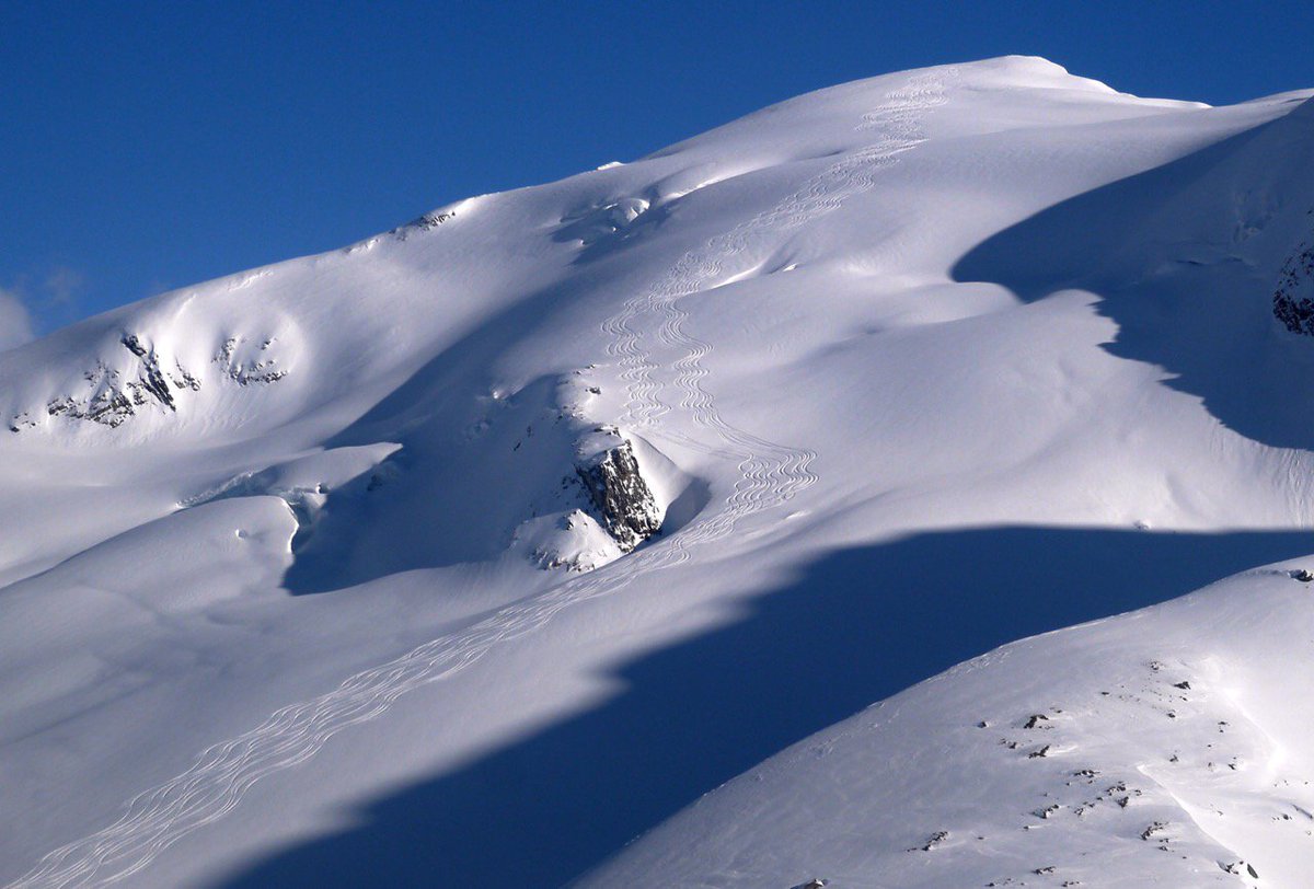 I WISH I WERE SKIING THIS INSTEAD OF WORKING IN MY OFFICE!!!
CMH Adamants, April 8, 2018
#stillwinterinBC #heliskiing
