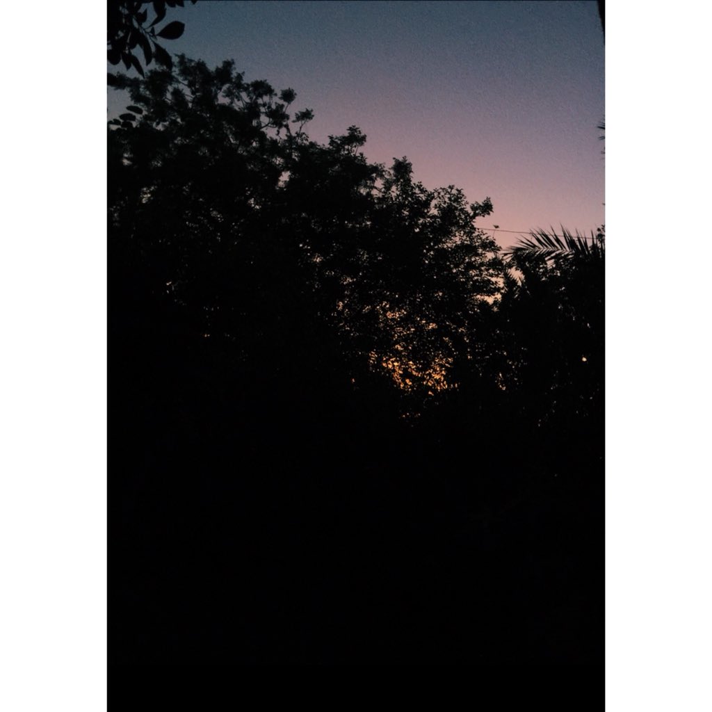 yourfavnadoda's tweet photo. If I were a tree, I would have no reason to love a human. https://t.co/pXhRtd0cMZ