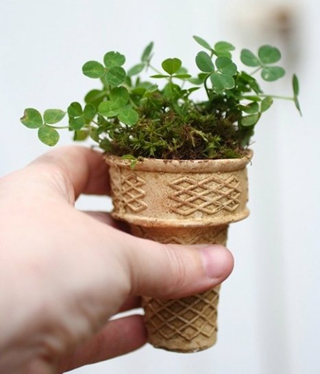 EarthDayJax's tweet photo. Spring is here and it's time to plant flowers! Start seeds in ice cream cones and plant them in the ground. It's the perfect biodegradable hack 🌿 https://t.co/1gV4OXsB01