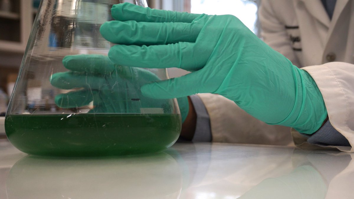IFHABWorkshop's tweet photo. We are excited to welcome researchers & regulators from across #Canada to #IFHAB18. Our workshop will incorporate four areas of leading research – (1) #HABMonitoring & Fate (2) #Ecotoxicity (3) #AnalyticalMethods (4) #DrinkingWaterTreatment https://t.co/aroD99wX1J