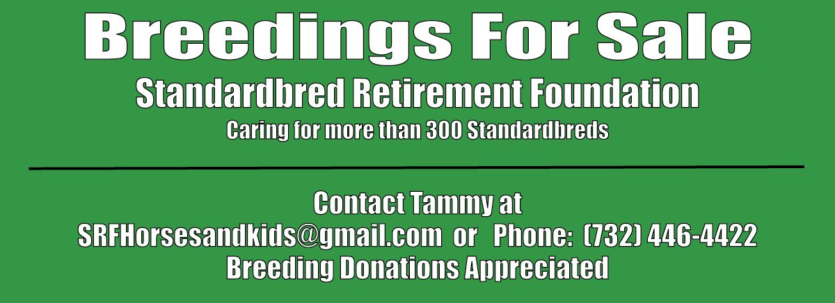 SRF has many breeding's for sale & is accepting donations as well. Your donation helps rescue, rehabilitate, and adopt into loving homes with follow-up for every adoption for life. Contact Tammy at 732.446.4422, or see our website at ow.ly/aeVX30jix6n