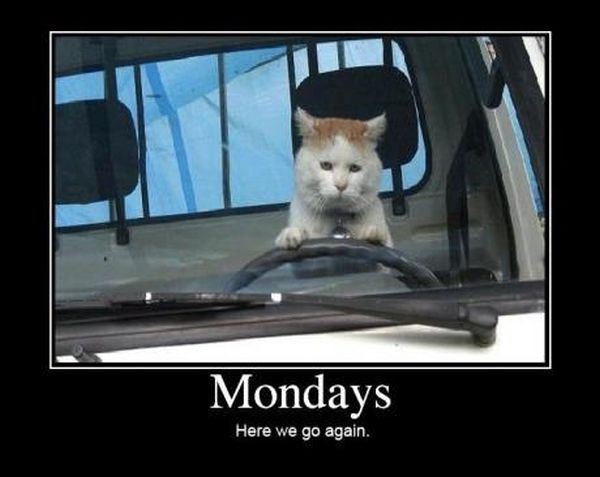 It's Monday! Here goes another one! We've got this!