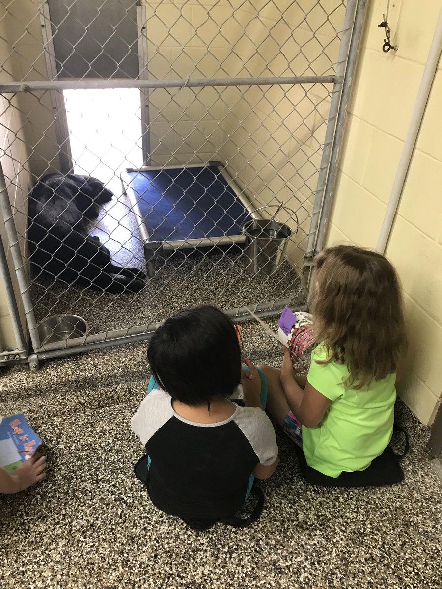 CWTES_eflanary's tweet photo. Reading to shelter dogs at the Tampa Humane Society. What a great way to end our ALU! https://t.co/I7dzsXh17C