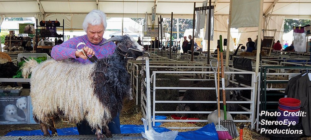 Ecotrust's tweet photo. Next week for @DesignWeekPDX, our @JocelynTutak will join a rancher, an organic farmer, a textile designer, & @BrooklynTweed founder to discuss how to rebuild apparel system through a #farmtofiber pipeline. 20% of proceeds donated to @Fibershed https://t.co/TdjU07ql1r https://t.co/h66xw9dBsM