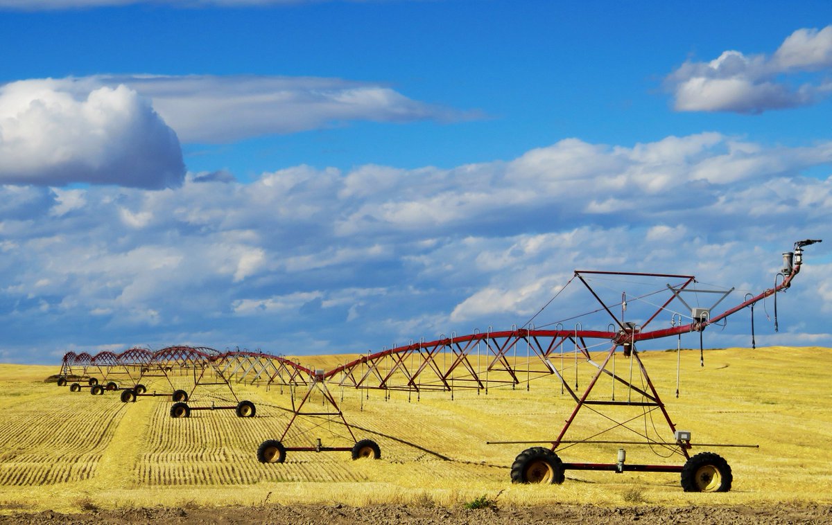 TheaClay's tweet photo. Are you curious about #precisionag  #remotesensing and #datascience? Attend the #foss4ag event on May 17 at Community Day at #FOSS4GNA! https://t.co/Fk7A7Cdw2E https://t.co/DkeC8Hc9uT