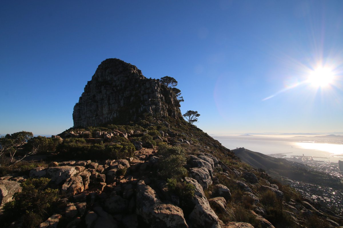 mountncreatures's tweet photo. Lion's Head, it's More Than a Mountain https://t.co/7cSN85CoWt @LionsHeadCPT @LionsHeadCT @TableMountainNP @runnersworldza https://t.co/zJRZBwgKkv