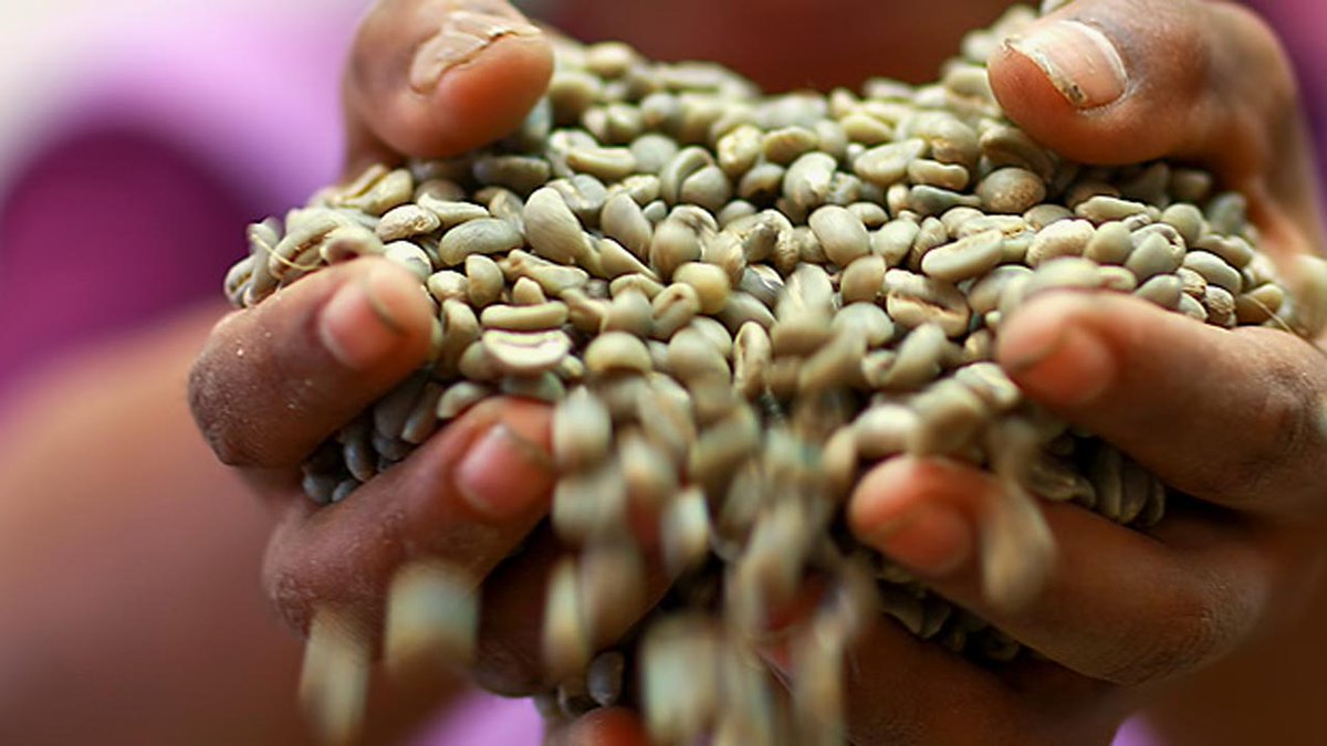 afriexpl's tweet image. Explore Africa’s BIGGEST opportunities in Agriculture. INVEST TODAY!
For Enquiries/Contact: 
You could leave a message here OR SEND US A MAIL ON; exploreafricainvestments@gmail.com
OR CALL US ON: +234-814-962-3647