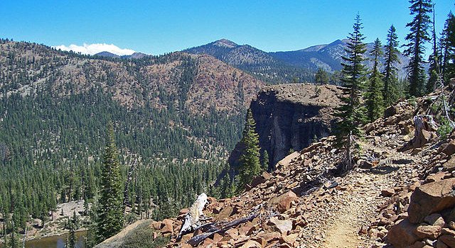 ORMasterNat's tweet photo. Learn Outdoors With Us! Sign up for an Oregon Master Naturalist Field Course Today! - https://t.co/qMe27fTCQI https://t.co/pneNTIMLJp