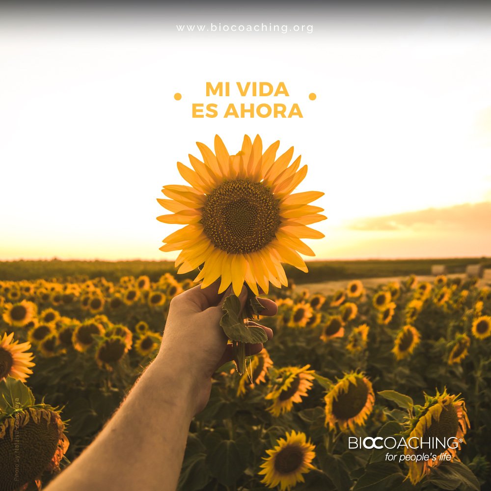 biocoaching's tweet photo. Sonríe, ama, baila, canta, besa, abraza, saluda, comparte AQUÍ Y AHORA.
Termina de liberarte del pasado, sigue construyendo tu futuro, pero en este momento más que en cualquier otro, logra determinar el valor enorme que tiene tu decisión de vivir cada día. https://t.co/6H0dYFsHE5