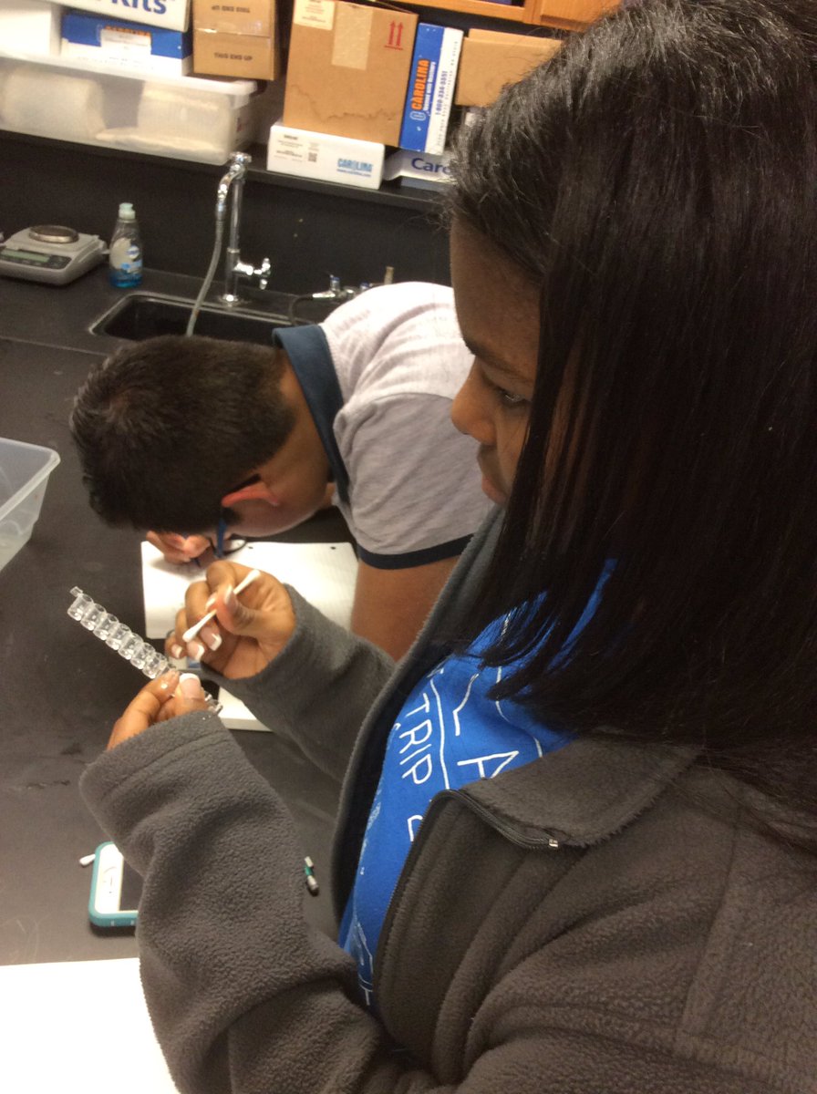 download Formal Concept