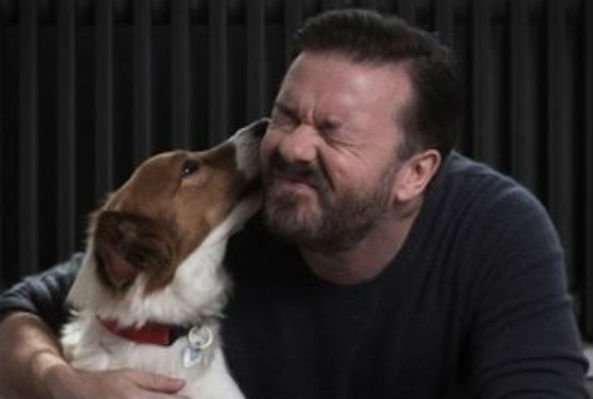 Some people are undecided about testing on animals. Understandable. There's so much propaganda and secrecy about it. Here's a quick test though, &amp; you're answer should tell you. What would you do if some man came to your house &amp; squirted disinfectant in your beautiful dog's eyes?