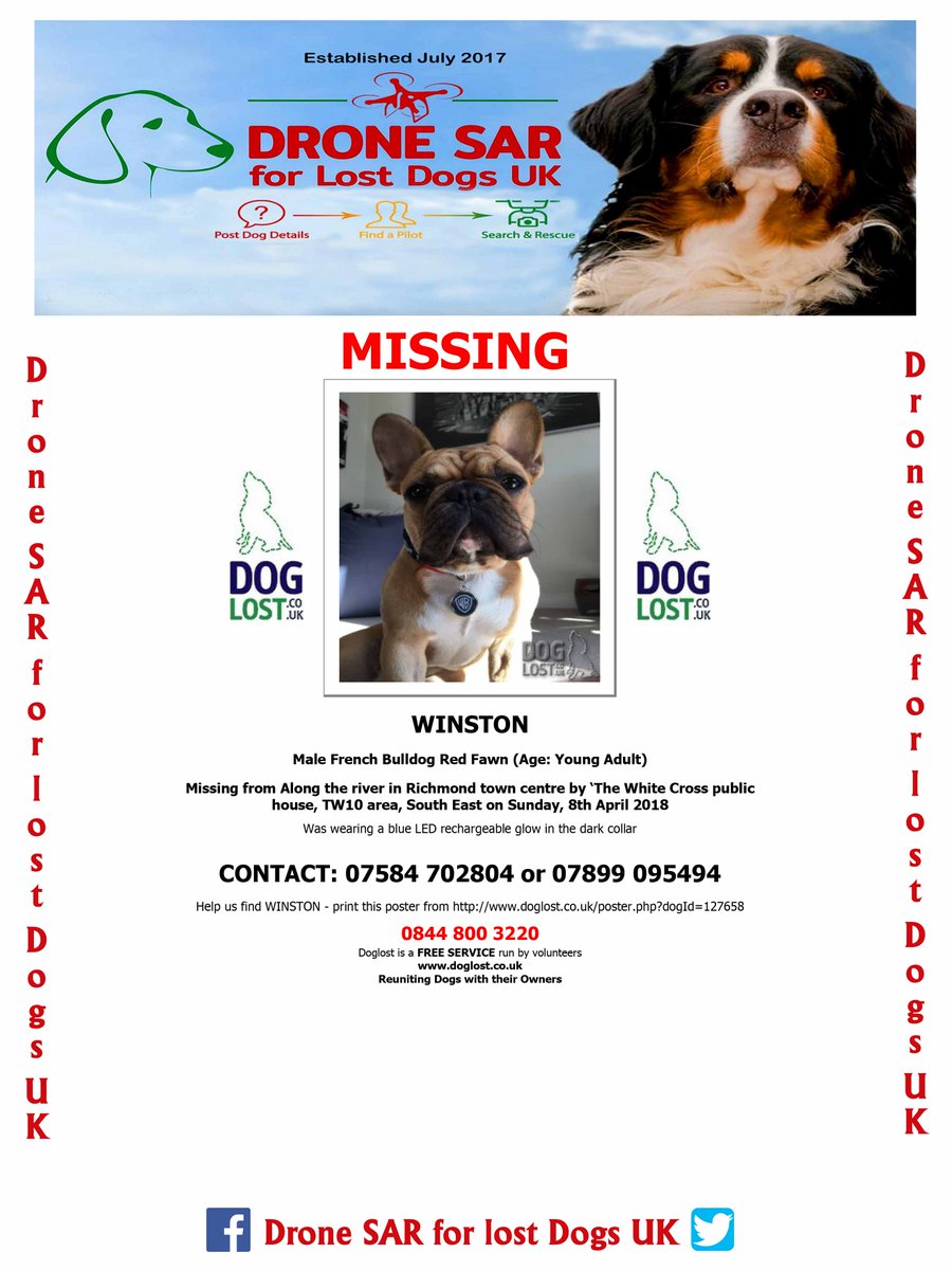 #LostDog WINSTON
Male French Bulldog Red Fawn (Age: Young Adult)
Missing from Along the river in Richmond town centre by ‘The White Cross public house, TW10 area, South East on Sunday, 8th April 2018  #Missingdog #DroneSAR facebook.com/groups/DroneSA…