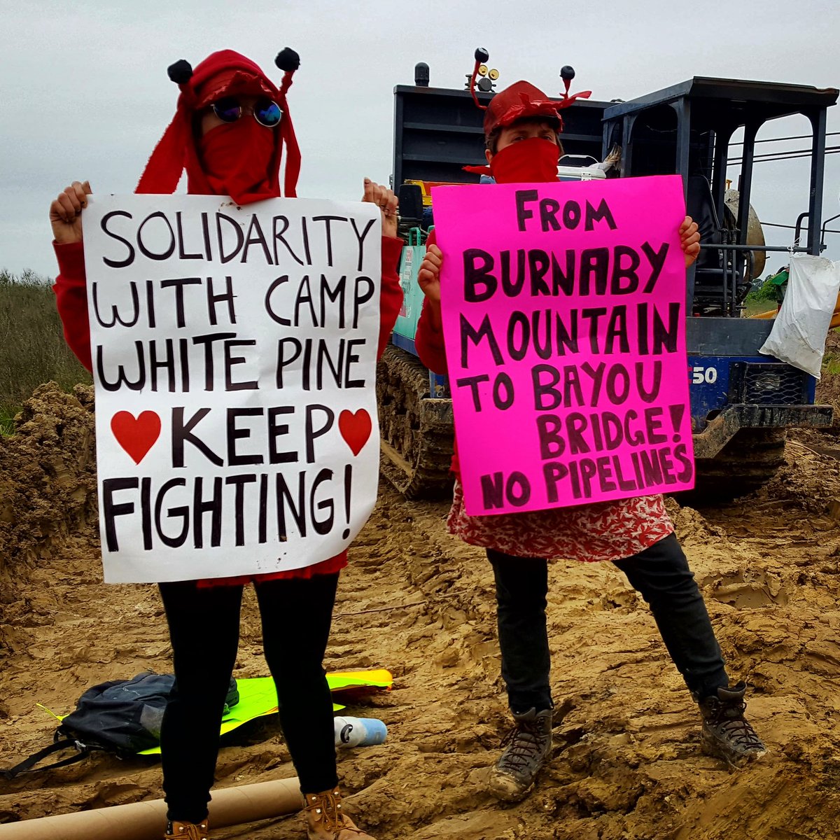 NoBayouBridge's tweet photo. Solidarity with Camp White Pine and  solidarity with those resisting at Burnaby Mountain. All our fights are connected! #StopKM #StopETP #NoBayouBridge #ResistMarinerEast https://t.co/QODrDKyWNU