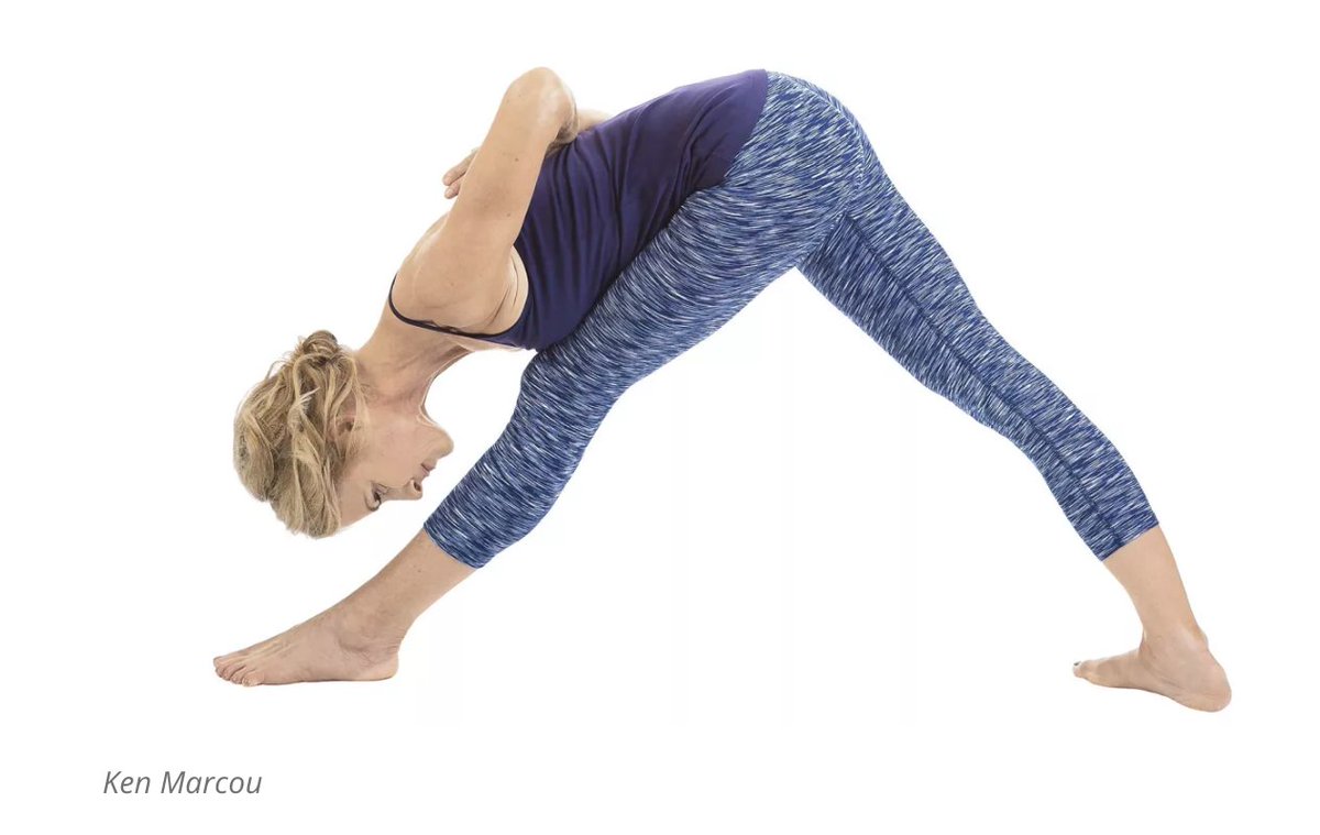 Yoga_Journal's tweet photo. Stretch your hamstrings, tone your glutes, and maintain a balanced pelvis with these alignment principles for Parsvottanasana. #yogatips #beginnersyoga #asana https://t.co/jCh21JOo3J https://t.co/WnI2RmDOtt