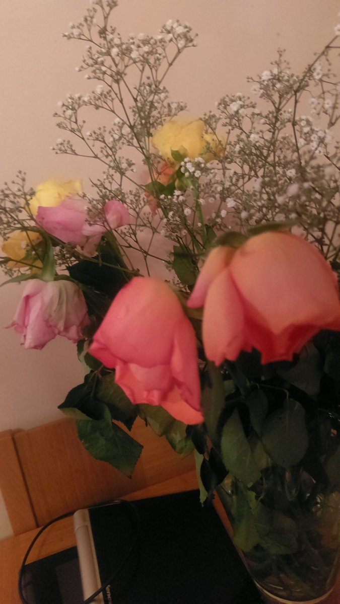 Jaaroma's tweet photo. @sainsburys I bought these organic roses yesterday for the 2 year anniversary of my dad's death... Disgusted that they are dying after 1 day!! https://t.co/7igrwrO4Q0