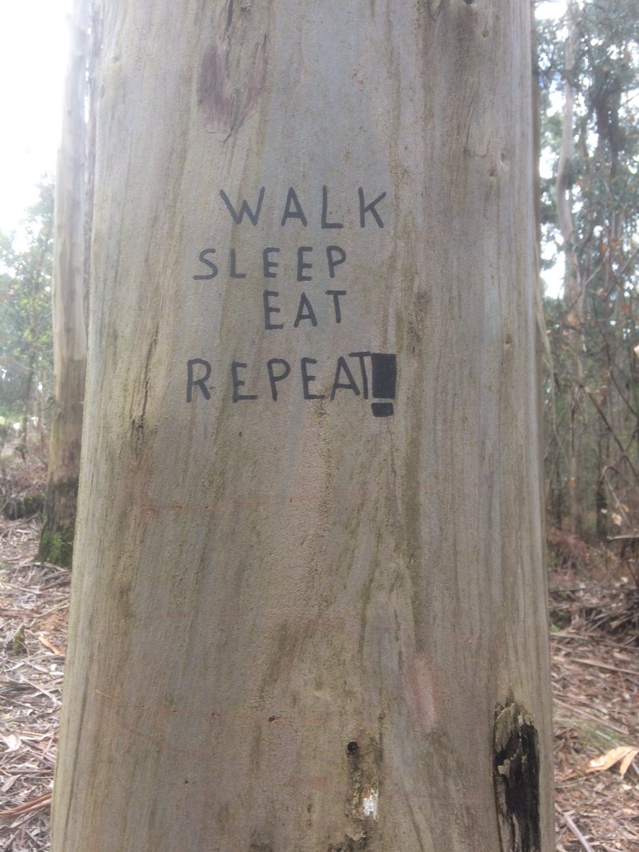 TempletonCt's tweet photo. Very apt - carved on a eucalyptus tree. No room for drink &amp; wash. #craigscamino https://t.co/uUia8QYzr7