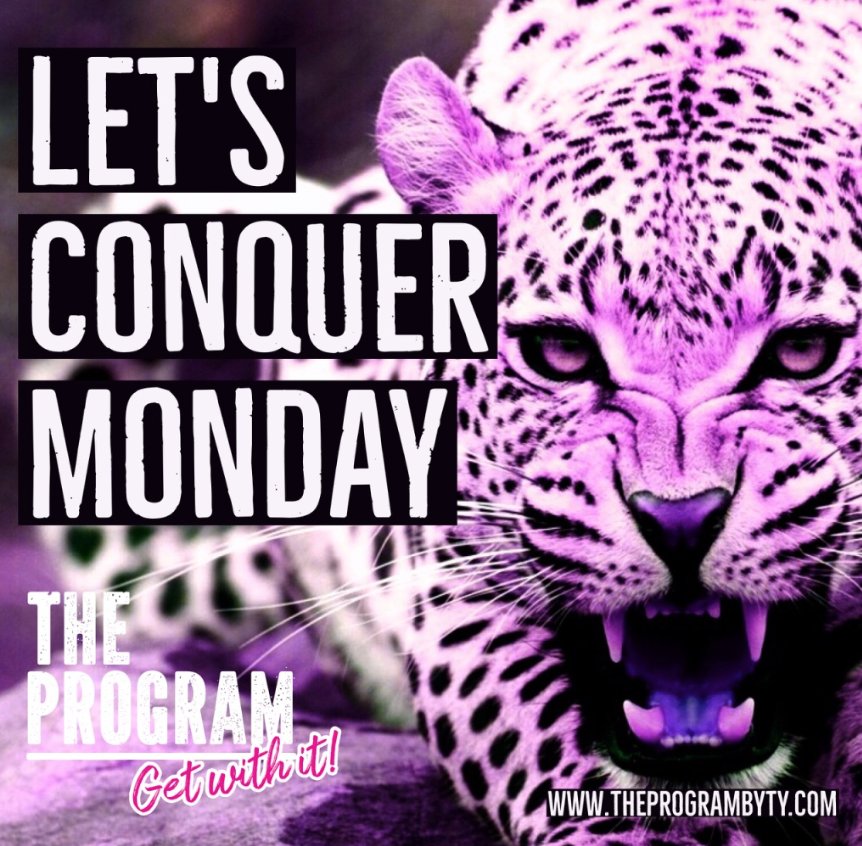 TheProgramByTy's tweet photo. Conquer #Monday like a beast!! #TheProgrambyTy #GetWithIt #GetWild https://t.co/MWdv3SEA0y