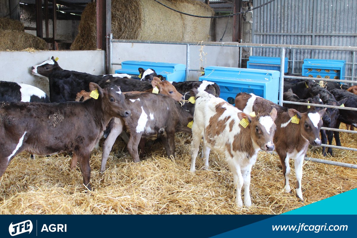 JFCAgri's tweet image. These happy calves are fans of the #JFCAgri #CF80 Creep Feeder, available now through your local Co-Op or Agri store. #BigWeekOnTheFarm #MyFarmingWeek #OnTheFarm #JFC #Dairy #Innovation @GillwallyO