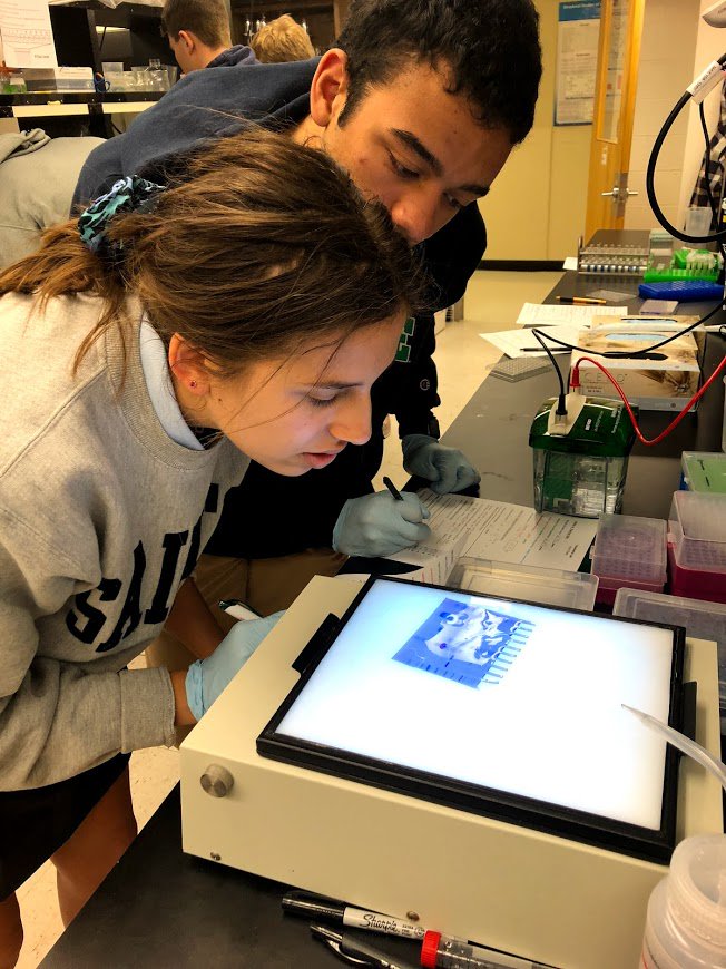STAsaints's tweet photo. The @STAsaints Honors Chemistry II class visited the KU Medical Center today and joined Bret Freudenthal's lab. #stasaints #amorvincitomnia #4corevalues https://t.co/Le7Qpo9jN6