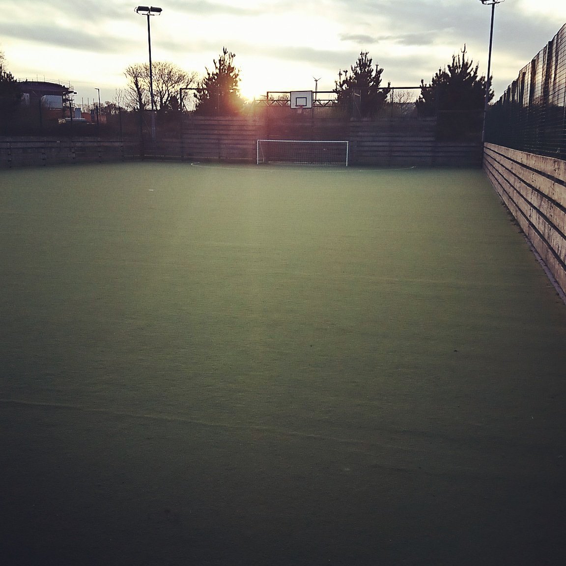 FXU Ladies Football tweet media