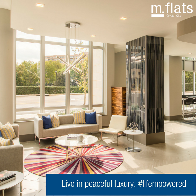 mflatsCC's tweet photo. Relax and de-stress in your own oasis. #lifempowered
.
#crystalcity #arlington #apartmentgoals https://t.co/ictDp8gbO8