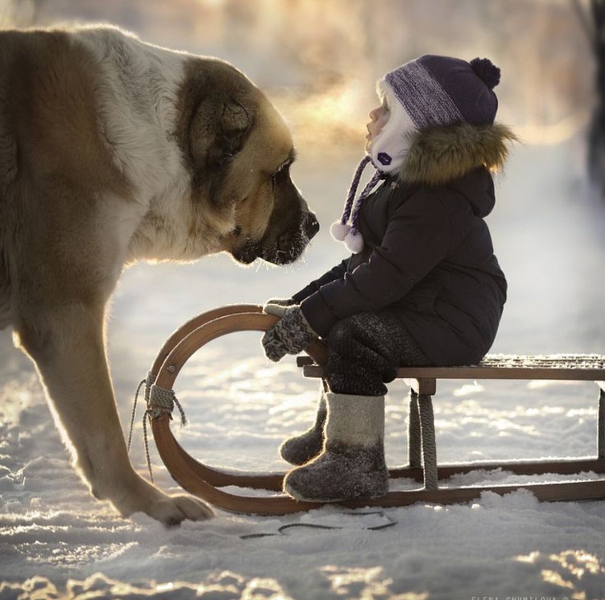 chuspons's tweet photo. Un verdadero Amigo viene a tiempo, los demás.... cuando tienen tiempo. No lo olvides!!!! #amigos #friends #forever #wapapop #desmarkte #LaHoraMagica9A https://t.co/E9P6uIZXJ9