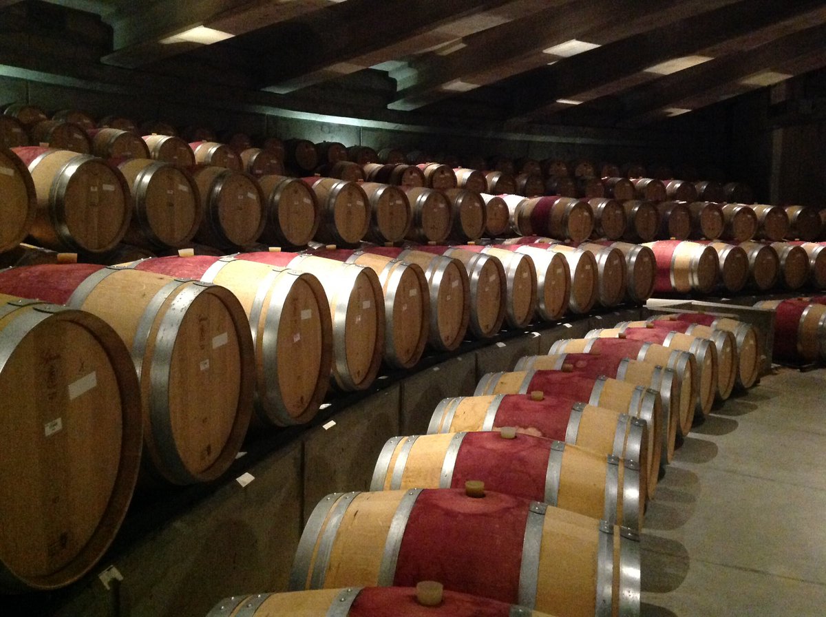 Disfrute en pleno corazón del #ValledeColchagua #Chile #Enoturismo #Vinos #Apalta cc <a href="/VinosMontes/">Viña Montes Chile</a>  <a href="/AurelioMontes/">Aurelio Montes</a>