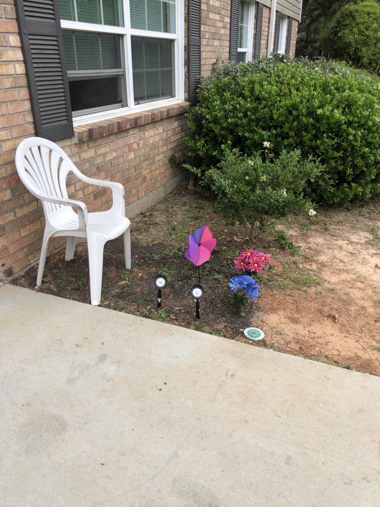 brtndr463750's tweet photo. I have worked all spring on my little dinky flowerbed in front of my apt. Seriously, you have no idea what I started with. Neighbor decides to #keepupwiththejones now it looks like I buried one of my cats on the other side of the walkway. #why https://t.co/Uu8yeGH8f7