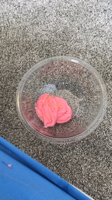 Shooting pink frosting filled anal sploshing scene for https://t.co/xWzm6RLpF0 🦄💦 Next to get a messy<a href="/tag/manyvids"class="tags"><span>#manyvids</span></a>