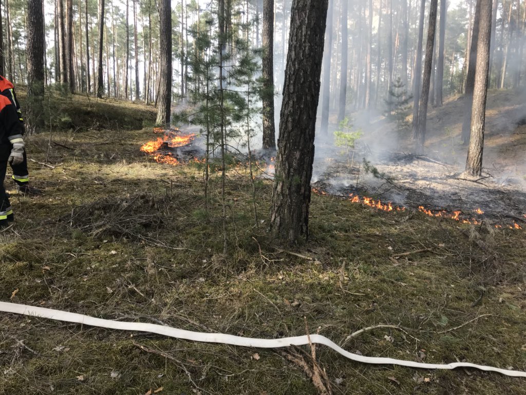 Am 09.04.2018 wurde die Feuerwehr Mimberg um 17.07 Uhr zu einem Waldbrand alarmiert. Aufgrund der nicht ganz ersichtlichen Meldung wo sich die Brandstelle befindet,  suchte das Löschfahrzeug in Richtung Burgthann und der MTW Richtung Schwarzenbruck