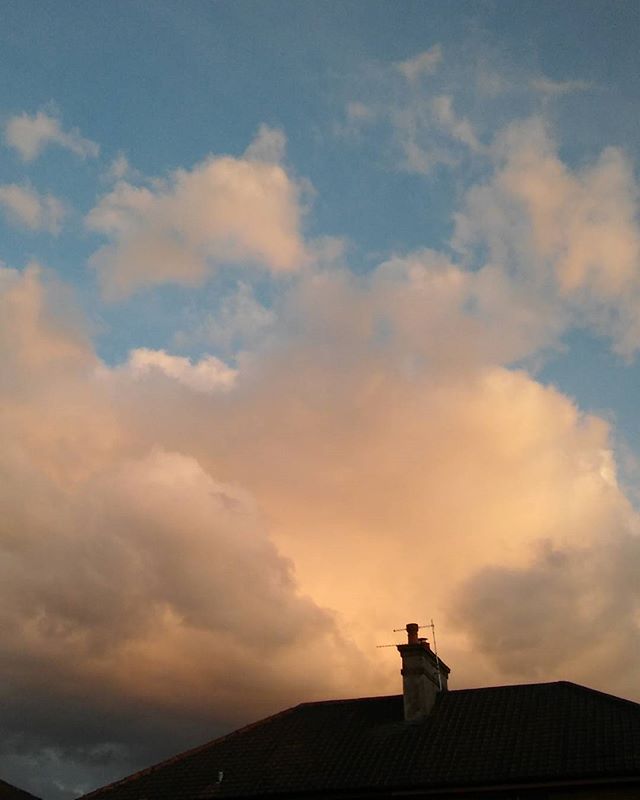 Lisa Murphy tweet media