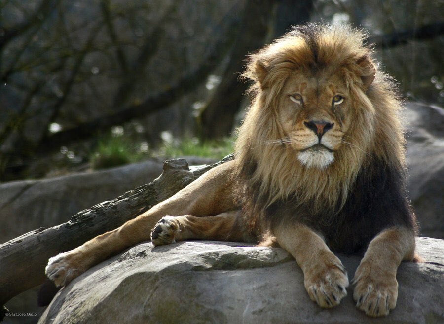 ChePound's tweet image. Sitting around waiting for other people VS making moves on some king shit