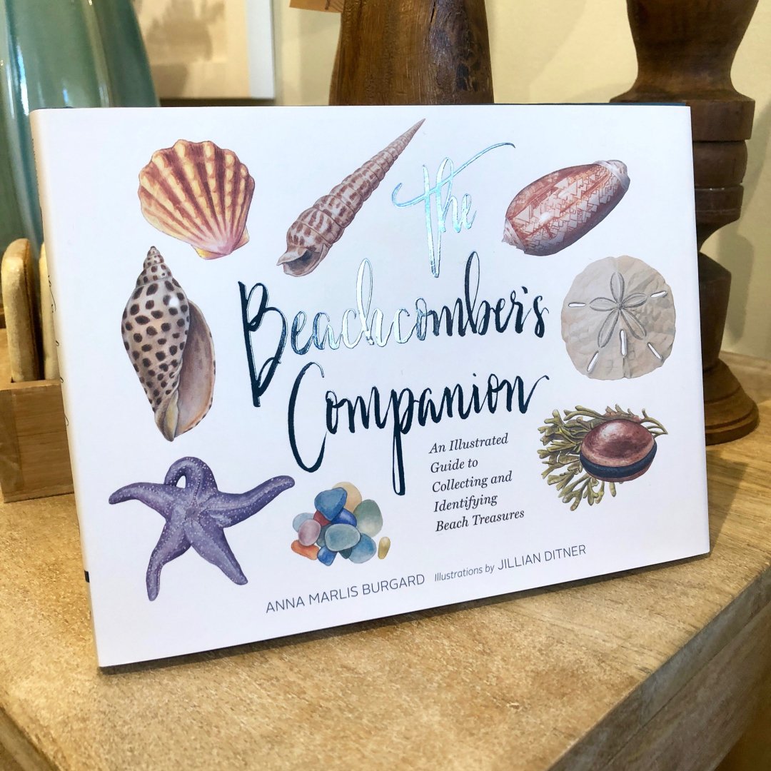 The Beachcomber's Companion 🐚 By Anna Marlis Burgard - Just released and at Mad River!
#illustratedguide #shellcollecting #identifyingshells #coastaltreasures #funtidbits #handyresource #advice #watercolorillustrations #essentialcompanion #shorelovers #buildinghousecreatinghome