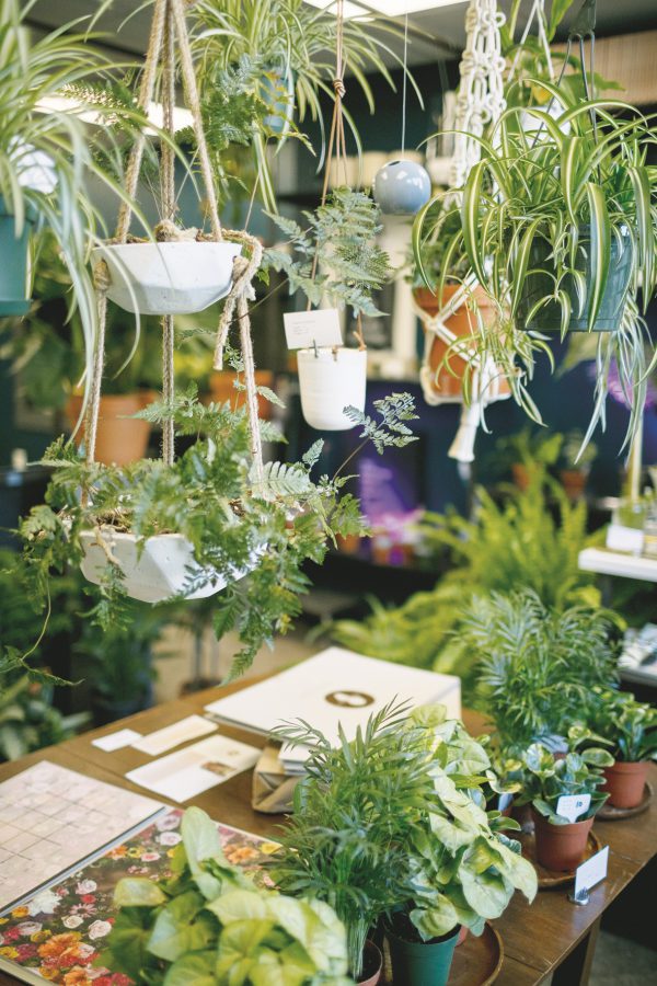 HatchDetroit's tweet photo. ICYMI: Hatch Alum @potandbox was featured in a #SEENMagazine (@NeighborSeen) article!   https://t.co/MO3kdC6iQS https://t.co/DN7M8CfNkp