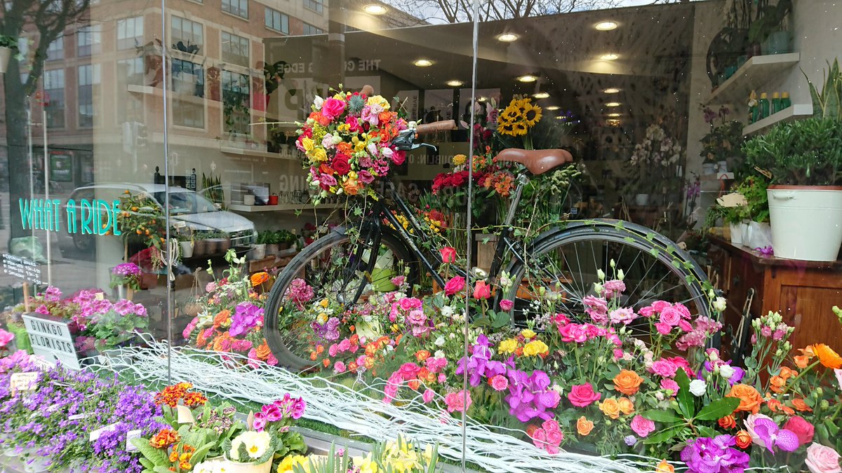 GinkgoFlorists's tweet photo. Our latest window display inspired by all things Dutch. 
Keukenhof, Amsterdam, Bikes and Flowers......... 

#windowdisplay #ginkgoflorists #noexpensespared  #goteamginkgo #windowart #flowers #dutchinspired https://t.co/OTEP6iAIFB