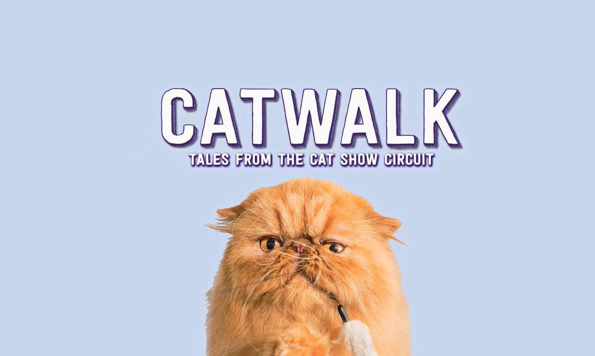 HotDocsCinema's tweet photo. The cat came back! Due to immense popular demand, we've added an encore screening of everyone's fave #catwalkdoc on April 24. ๐ปย https://t.co/4qH6pni23f https://t.co/PS7N8pFKGh