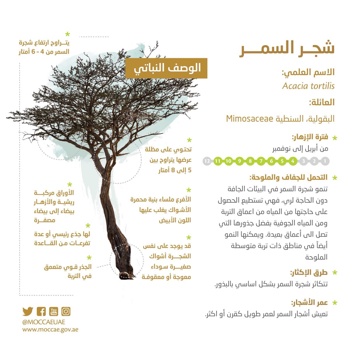 الاحتطاب الجائر يهدد بزوال البيئة وتدهور المراعي الطبيعية صحيفة