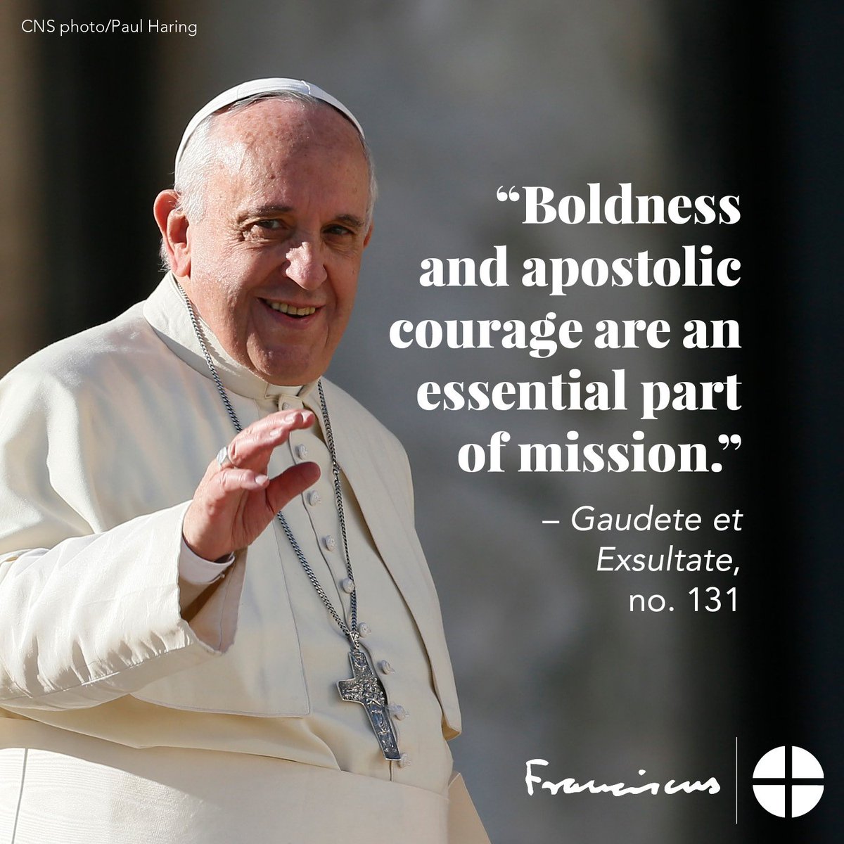 USCCB Welcomes Pope Francis' Apostolic Exhortation on Holiness in the  Contemporary World - The Roman Catholic Diocese of Phoenix