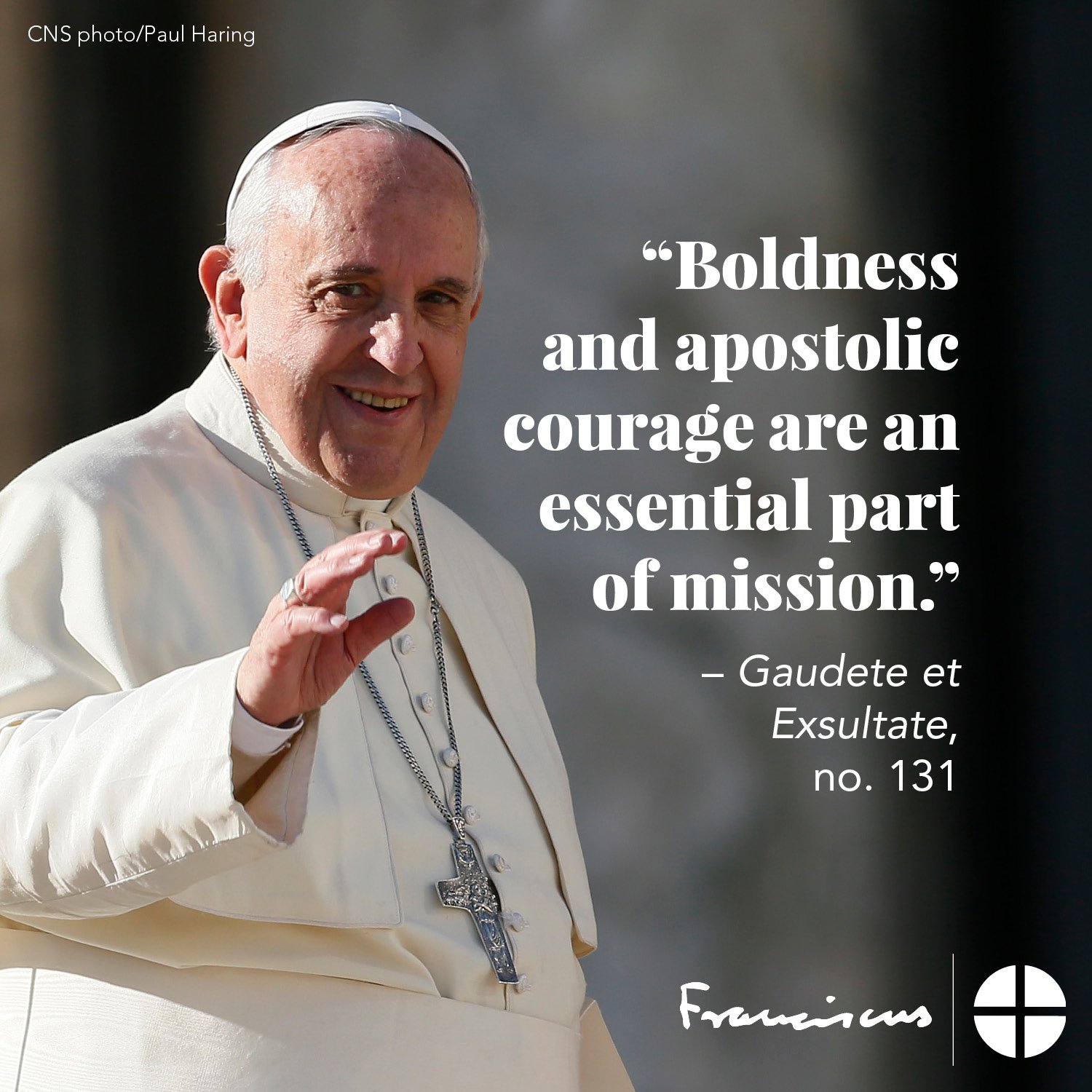 Pope Francis Moves Us towards Holiness: Key Quotes from Guadete et Exsultate (part 2) — Saint John Neumann Catholic Church