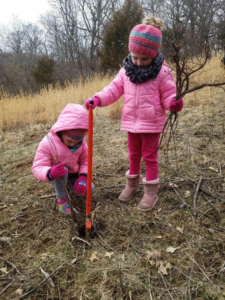 LLandW's tweet photo. Growing humans planting growing trees! 🌳 Have you planted one of our million trees? Send us some updates, we'd love to see their progress! #milliontreesproject #henrycountySWCD https://t.co/u4axdrVfhW