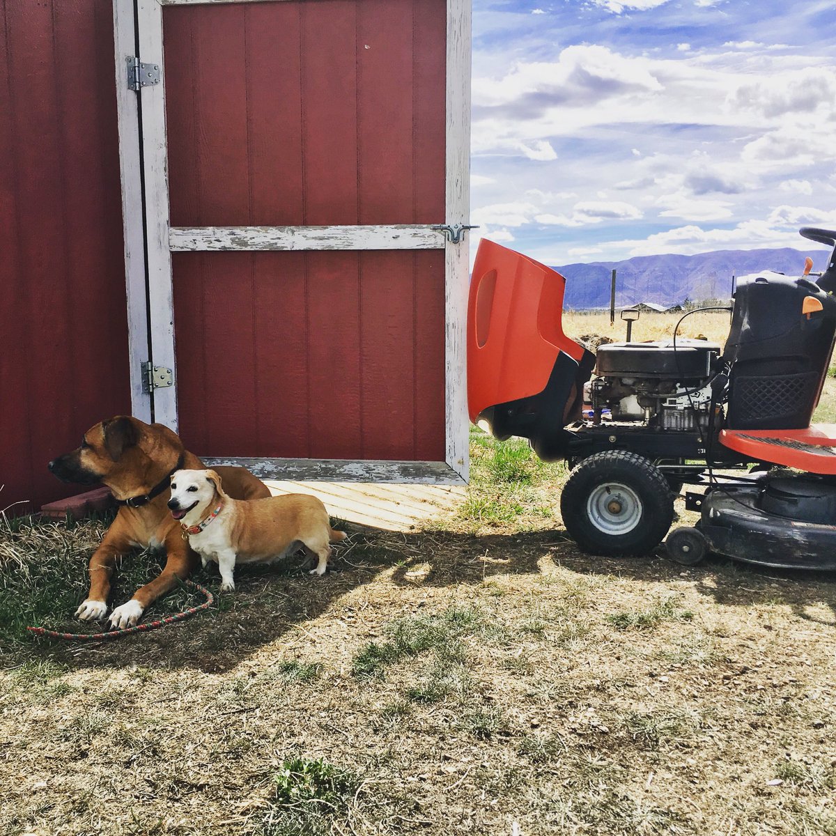 MancosMotor's tweet image. We spent our day off getting the lawn mower ready for the season. If yours needs a tune up too, we can help. 

#wefixeverything #lawnmower #spring #getoutside #colorado #repairshop #mancos #dolores #cortez