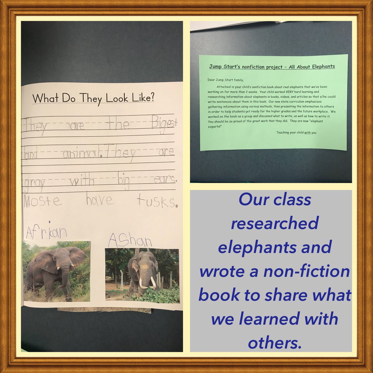 MrsRalstonKdg's tweet photo. #bjumpstart #elephantexperts #sharedresearch #nonfictionwriting #LCS_BC @sherimchenry https://t.co/nFugNH2Mk8