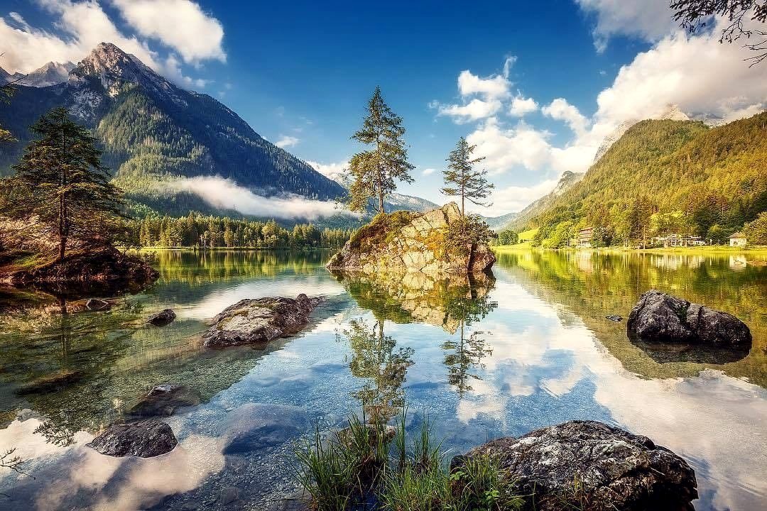 I love Nature tweet media